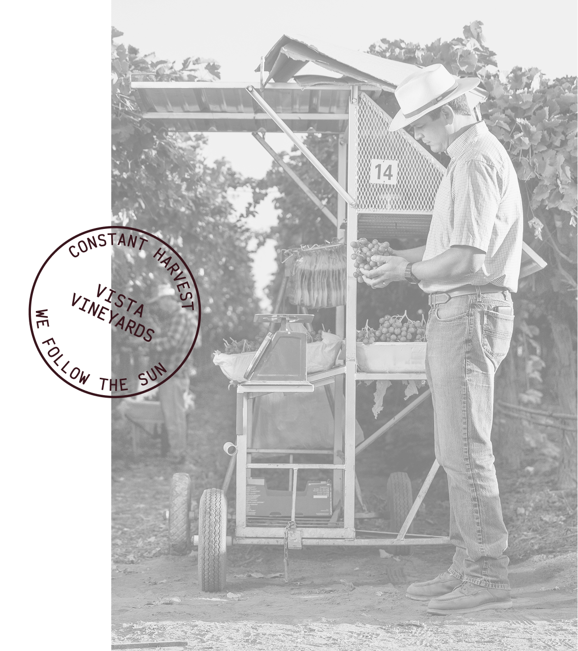 built around collaboration partnership