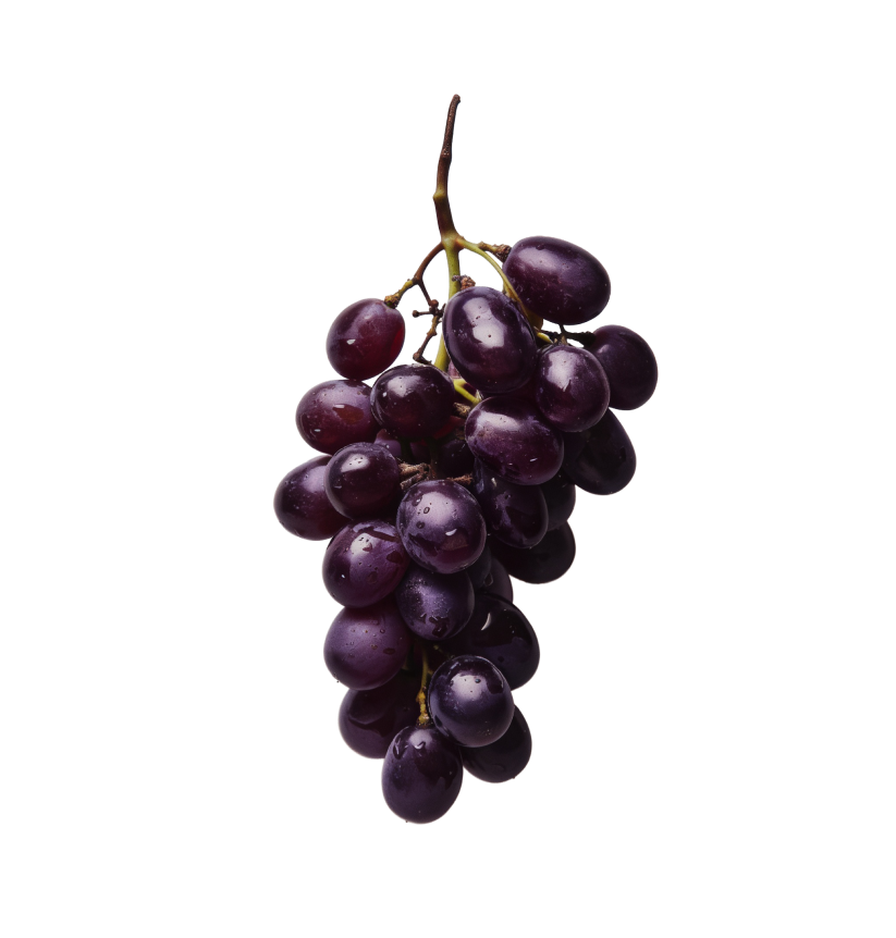growers regions header graphic