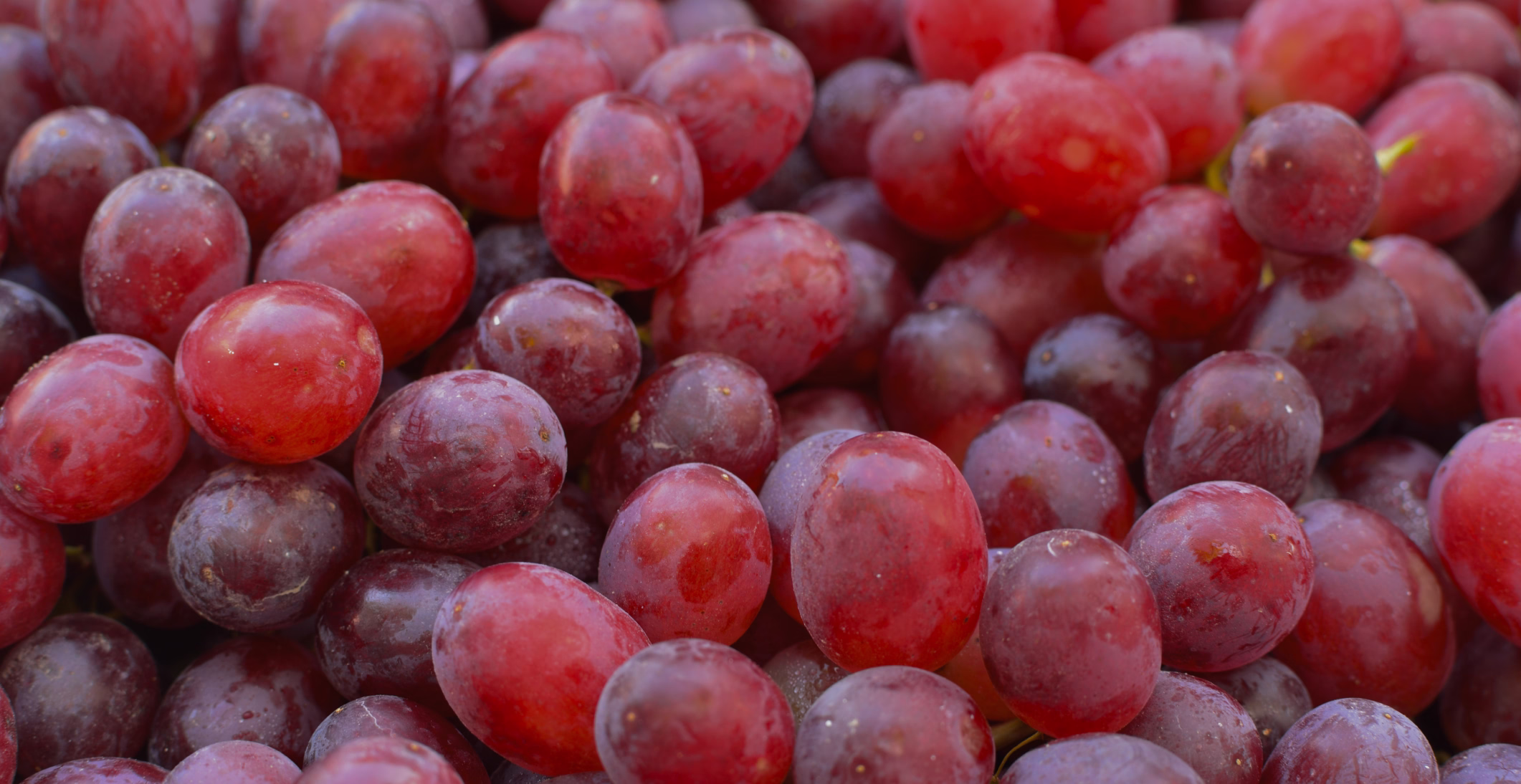varieties header banner